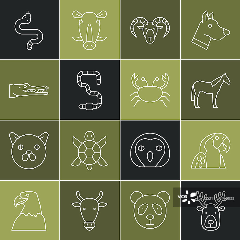 鹿头与鹿角、金刚鹦鹉图片素材