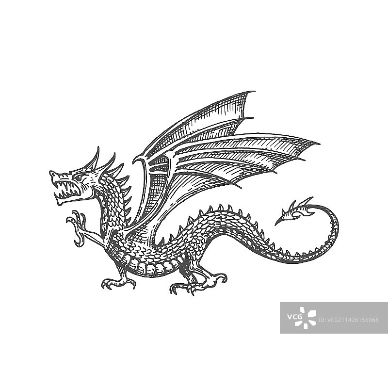 带翅膀的龙纹身传统图案图片素材