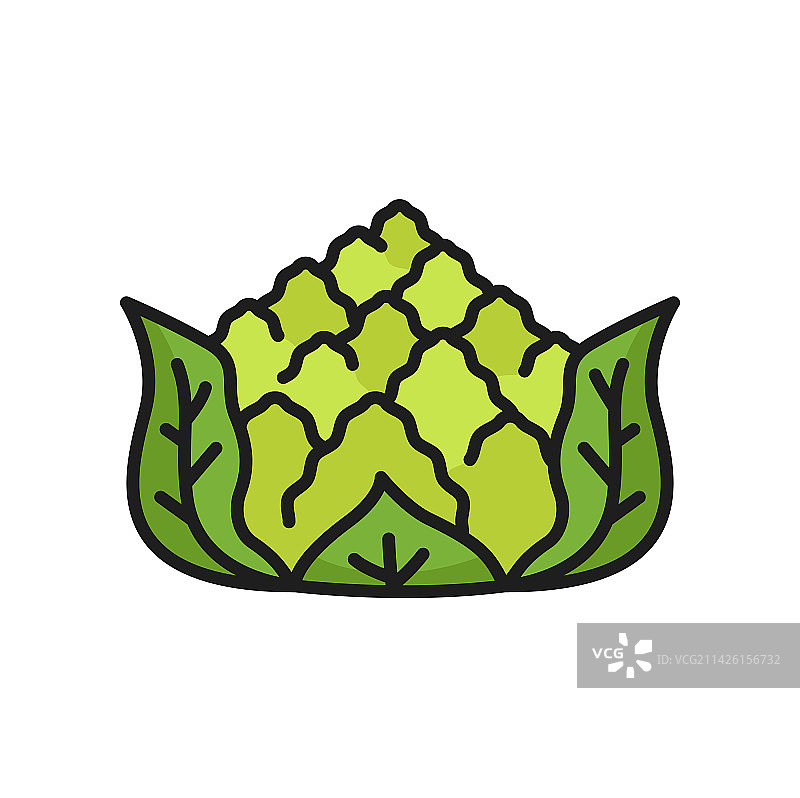 宝塔花菜彩色线条图标图片素材