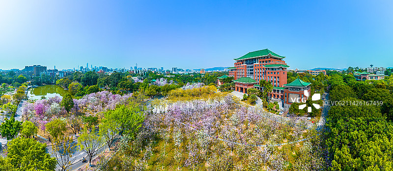 华南农业大学花海图片素材