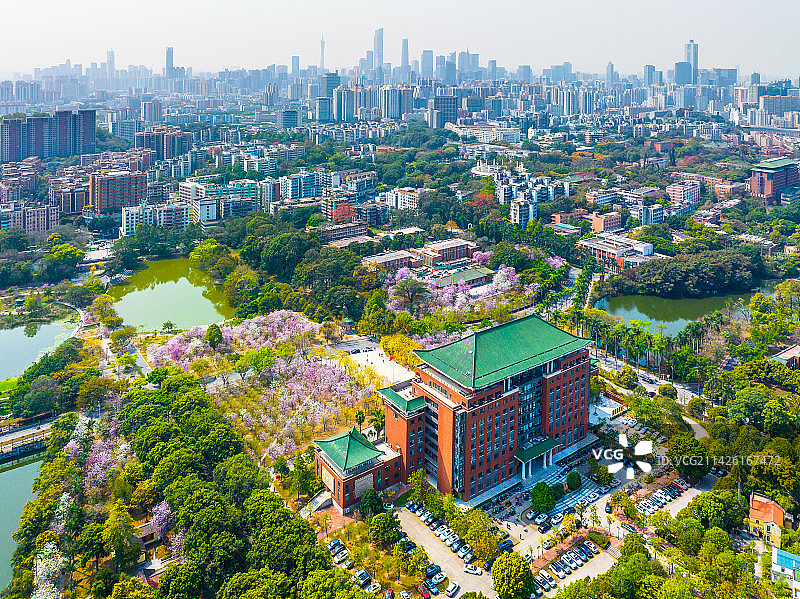 华南农业大学花海图片素材