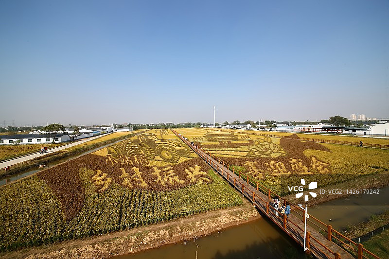 乡村振兴图片素材
