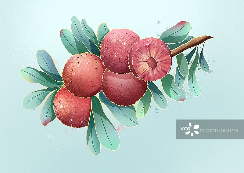 杨梅水果PSD插画素材图片素材