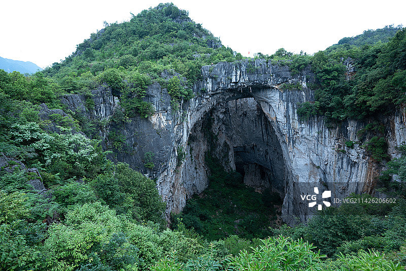 洞穴里的天坑植物图片素材