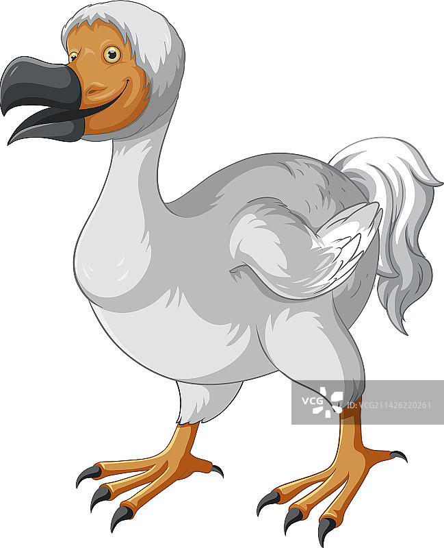 渡渡鸟灭绝动物图片素材
