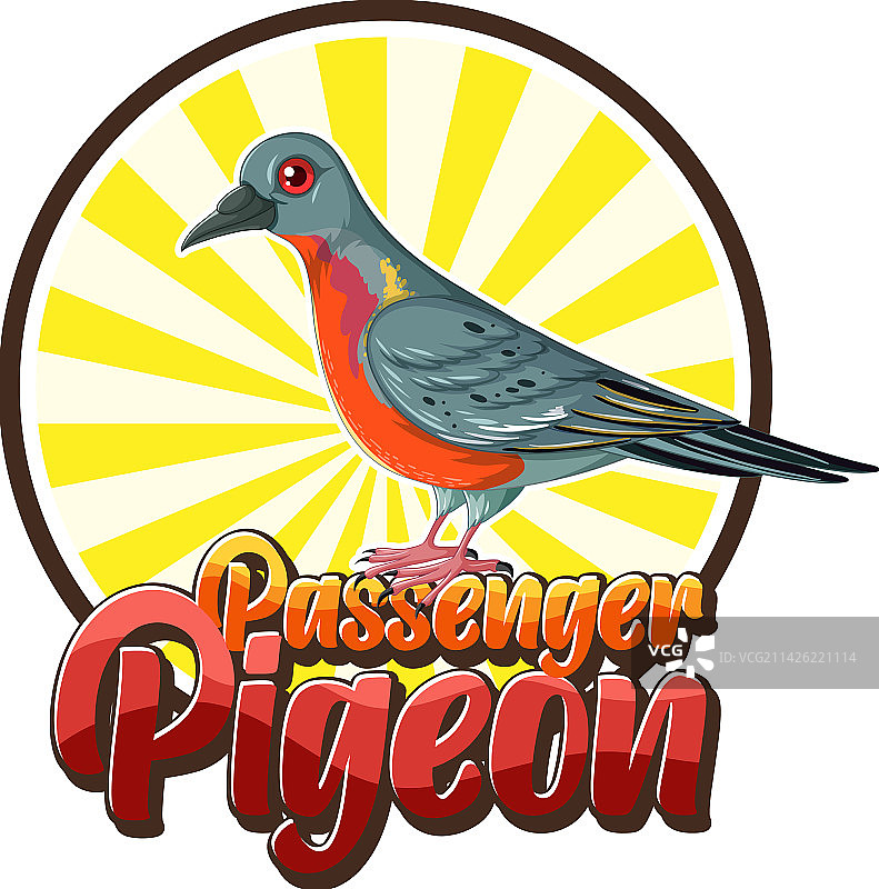 已灭绝的旅鸽鸟类图片素材
