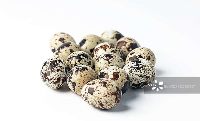 鹌鹑蛋图片素材