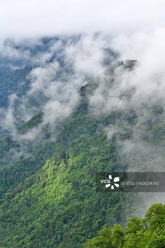 空山新雨后图片素材