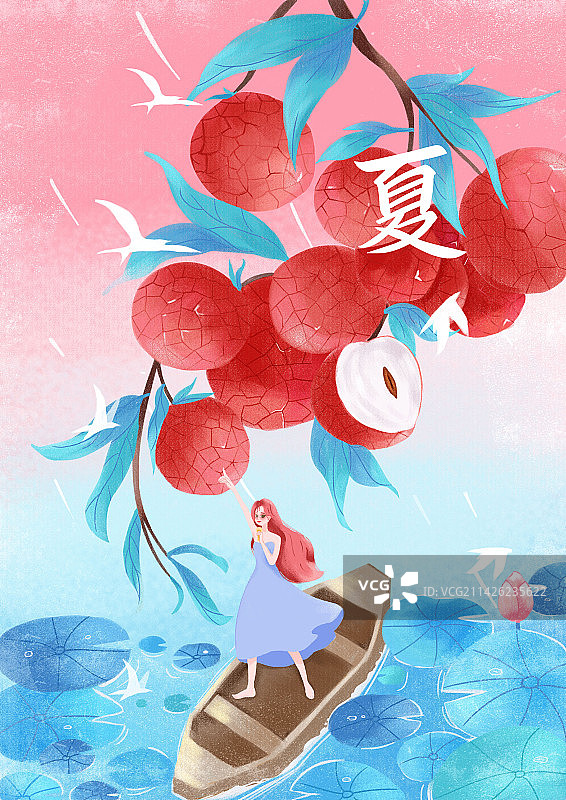 夏天  荷花   荷叶  荔枝  肌理风 小船图片素材