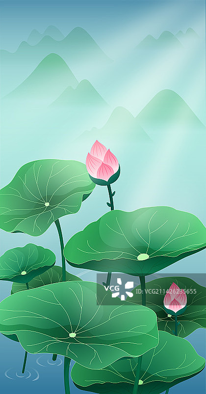 夏天风景立夏荷花植物图片素材