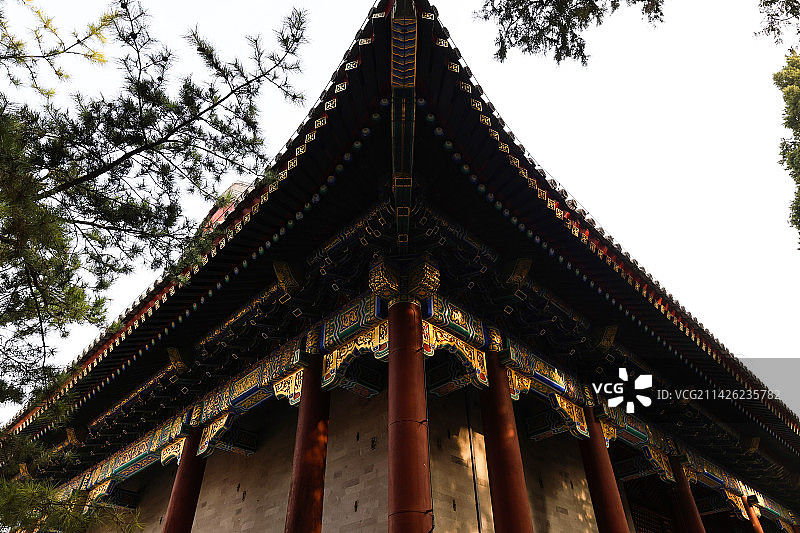 北京颐和园仁寿殿风光图片素材