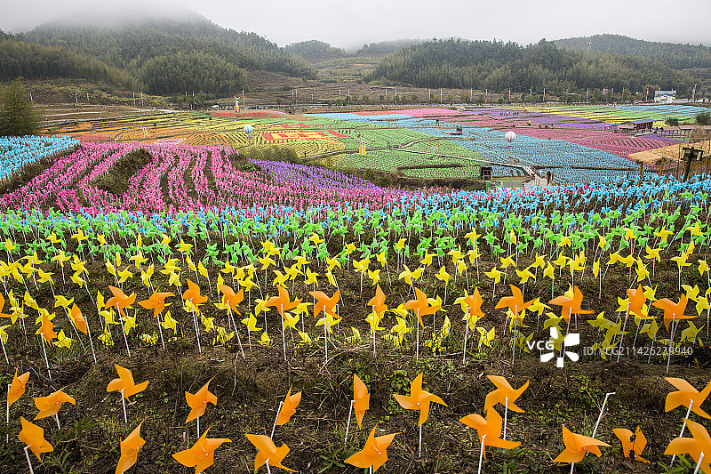 草地上的大片风车图片素材