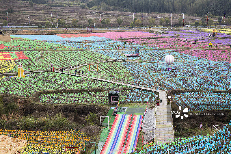 草地上的大片风车图片素材