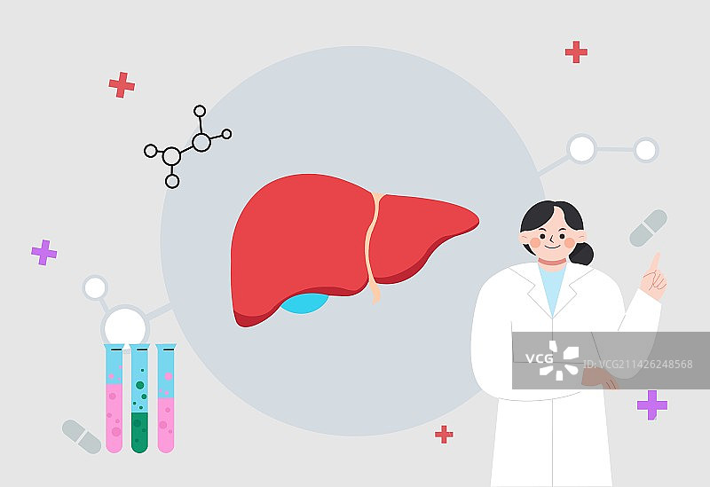 全国爱肝护肝日医疗健康插画图片素材