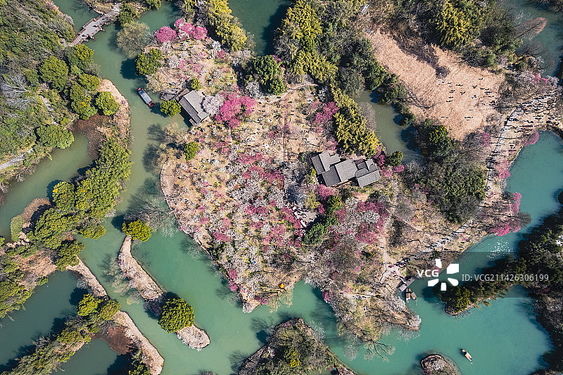 春天的杭州西溪湿地 西溪梅墅图片素材