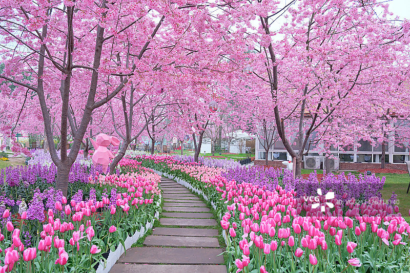 成都漫画庄园樱花盛开图片素材