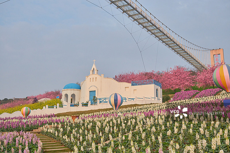 成都漫花庄园大飞燕花海图片素材