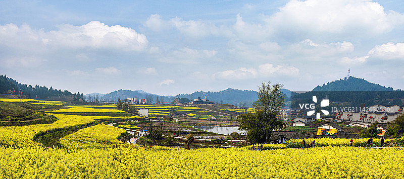 花开山乡（海龙凯哥）图片素材