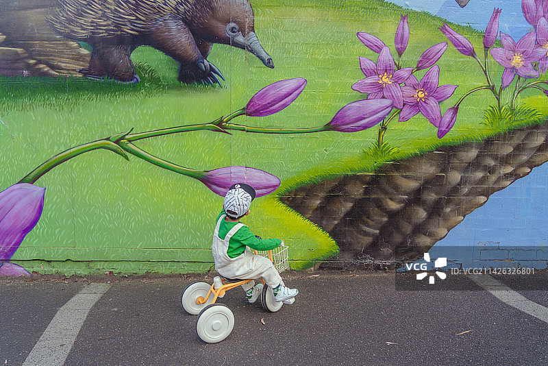 大特写背景画墙前的骑童车男孩图片素材