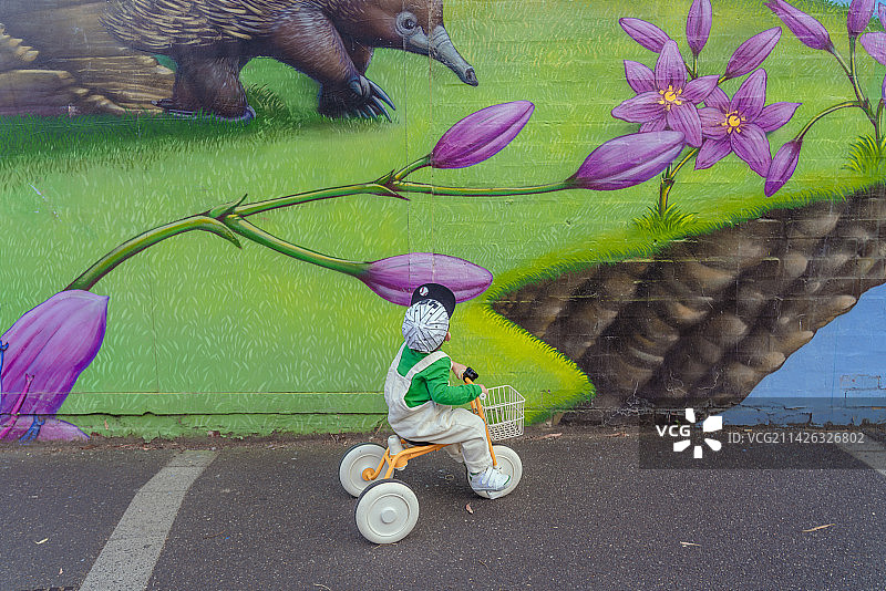 大特写背景画墙前的骑童车男孩图片素材