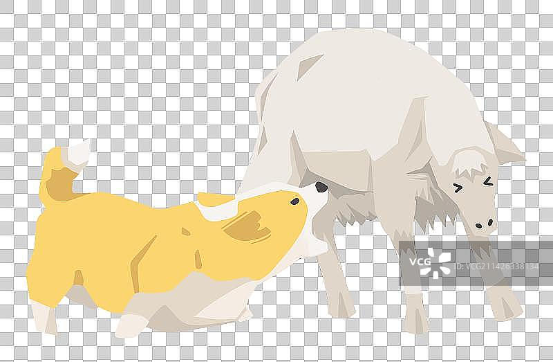 牧羊犬与狗图片素材