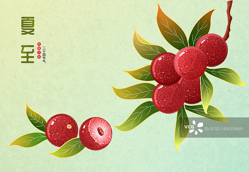 夏至杨梅节气插画图片素材