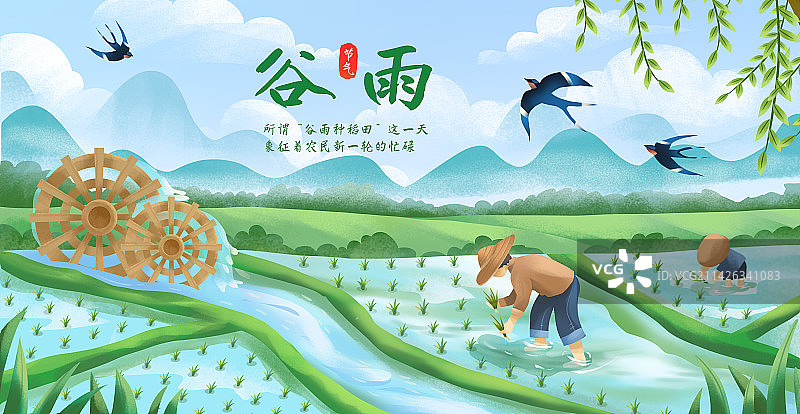 二十四节气之谷雨 农田插秧图片素材