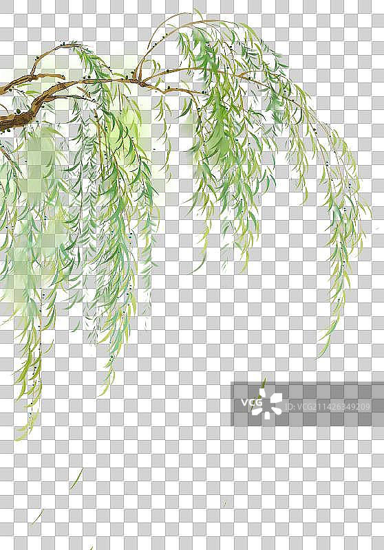 水彩风垂柳图片素材