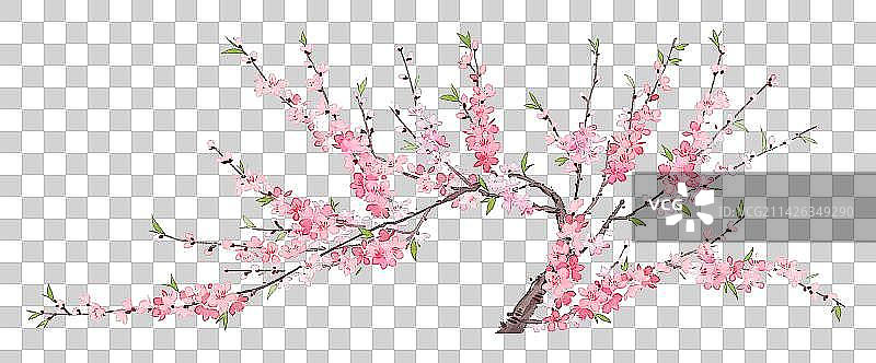 水彩风桃花图片素材