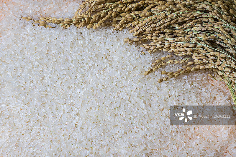 大米 ，东北大米，水稻图片素材