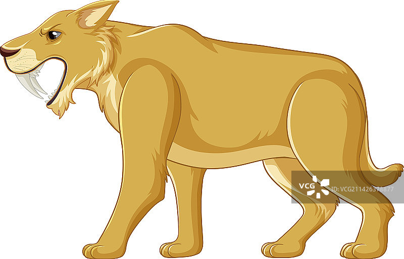 剑齿猫图片素材