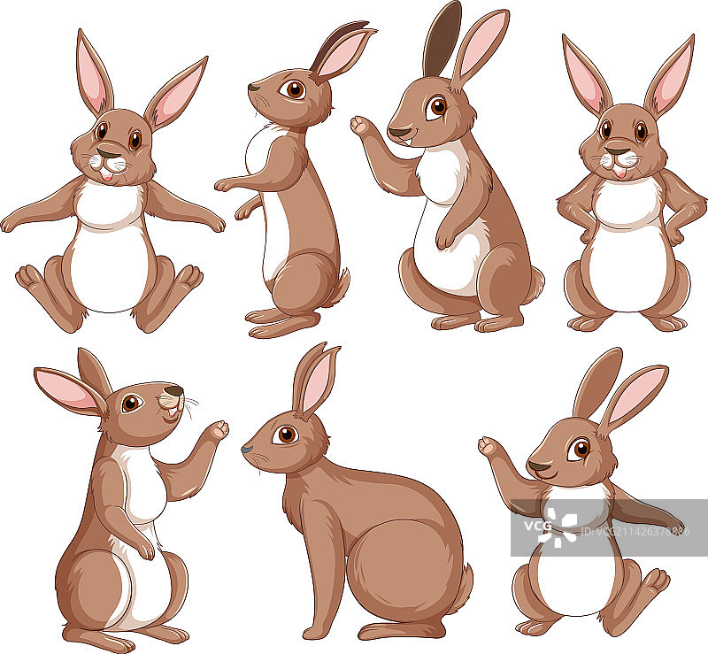 不同姿势的棕色兔子图片素材