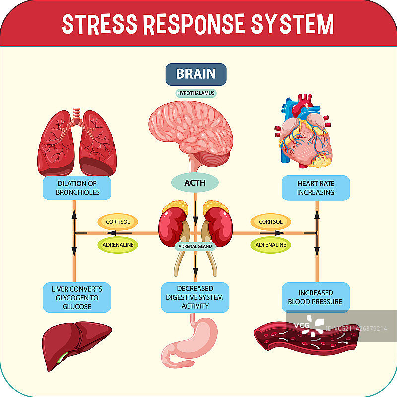 压力反应系统示意图图片素材