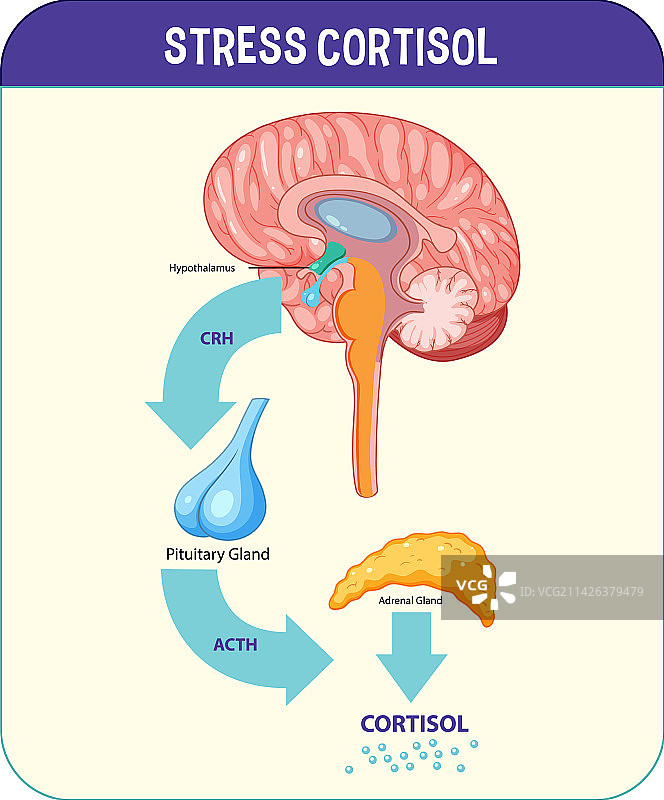 压力反应系统示意图图片素材