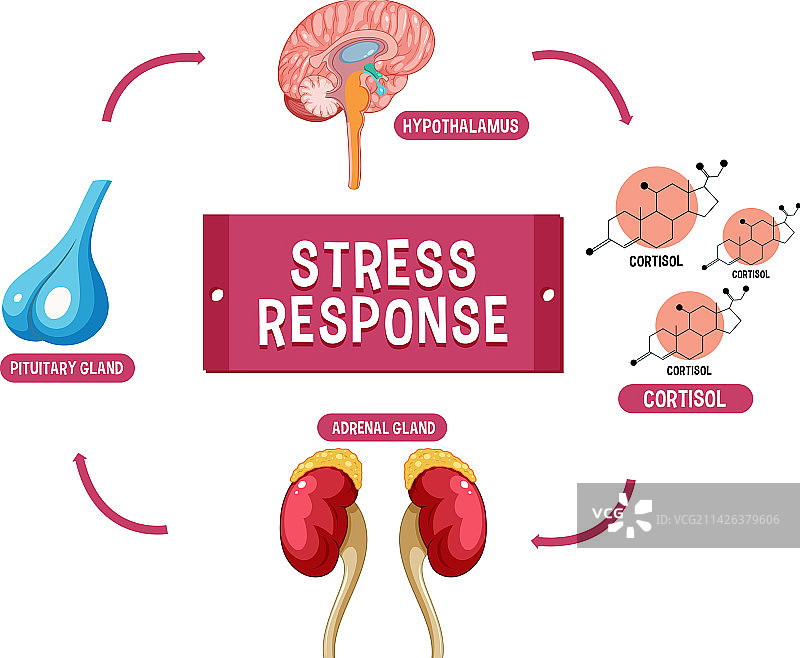 压力反应系统示意图图片素材