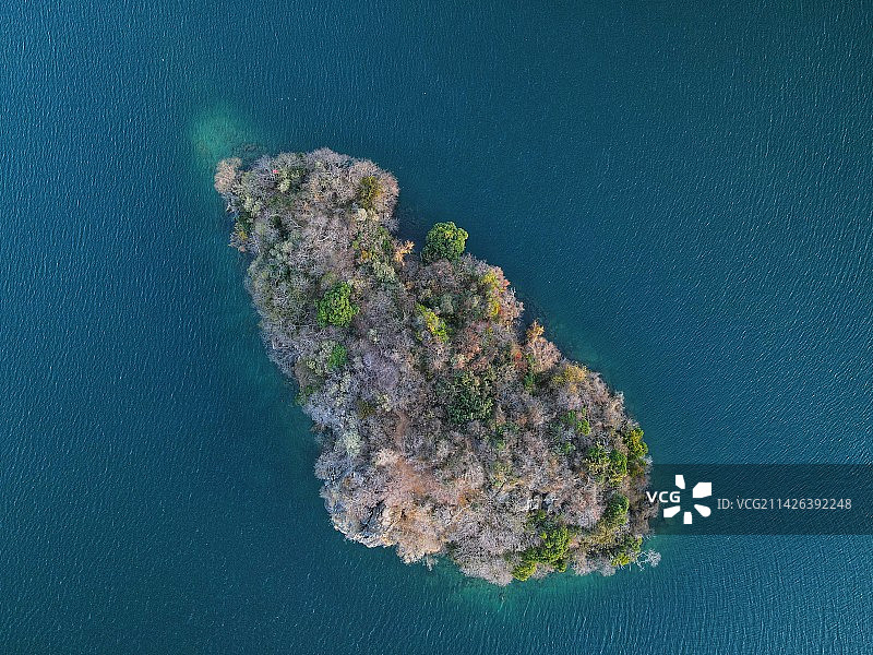 化身孤岛的鲸图片素材