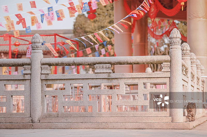 常州皇家寺庙的灵性小猫图片素材