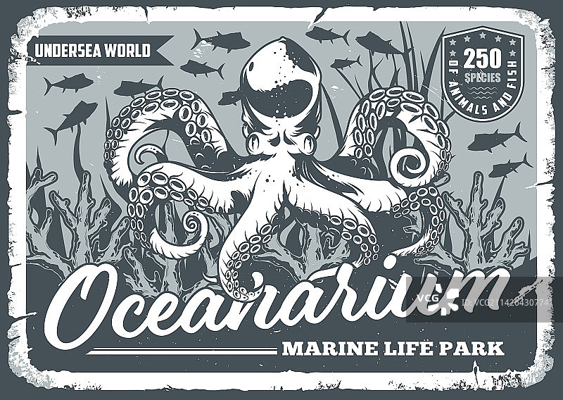 海洋水族馆复古宣传单黑白设计图片素材