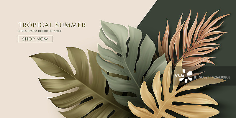 夏季热带棕榈叶设计图片素材