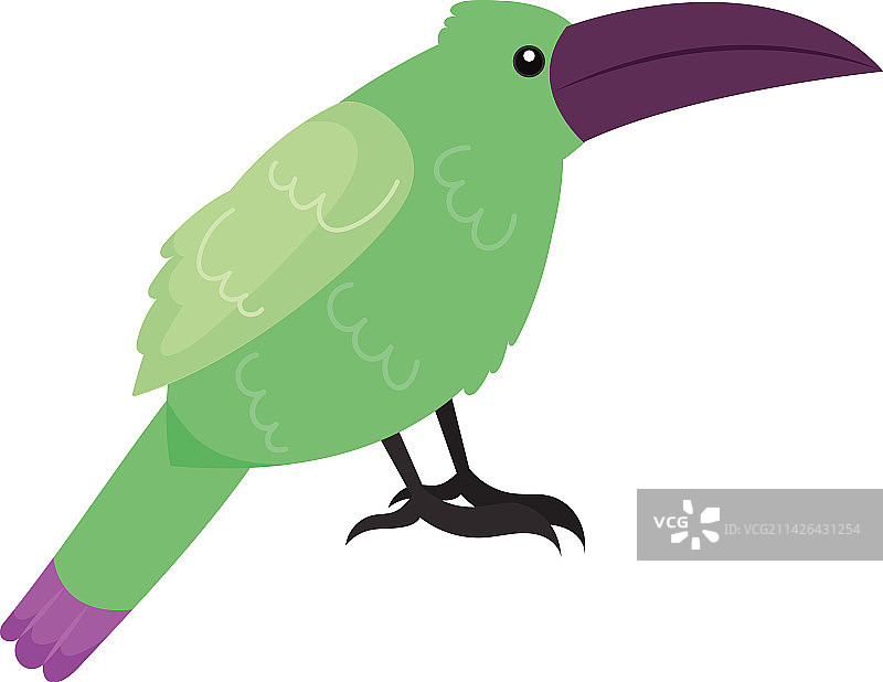绿色巨嘴鸟图片素材