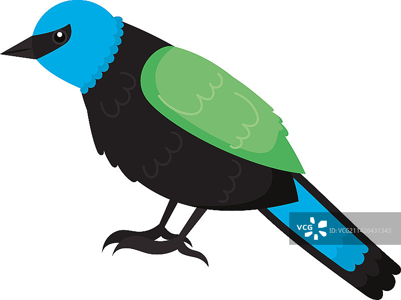 蓝绿色小鸟图片素材