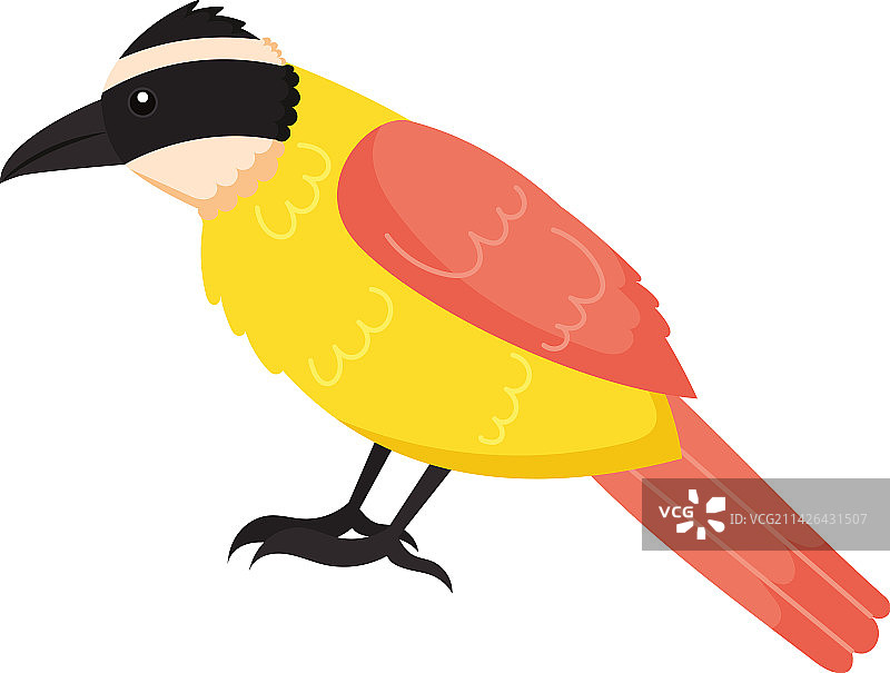 黄色和橙色小鸟图片素材