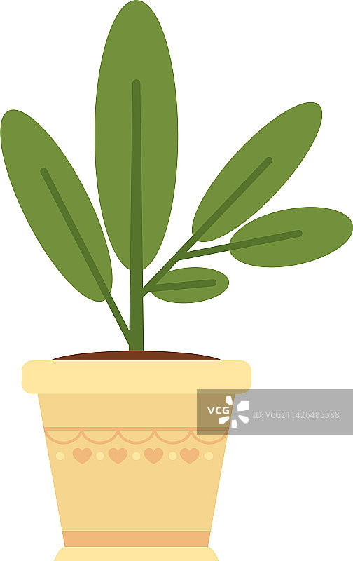 盆栽植物图片素材