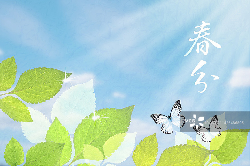 春分,养生阴阳平衡,二十四节气图片素材
