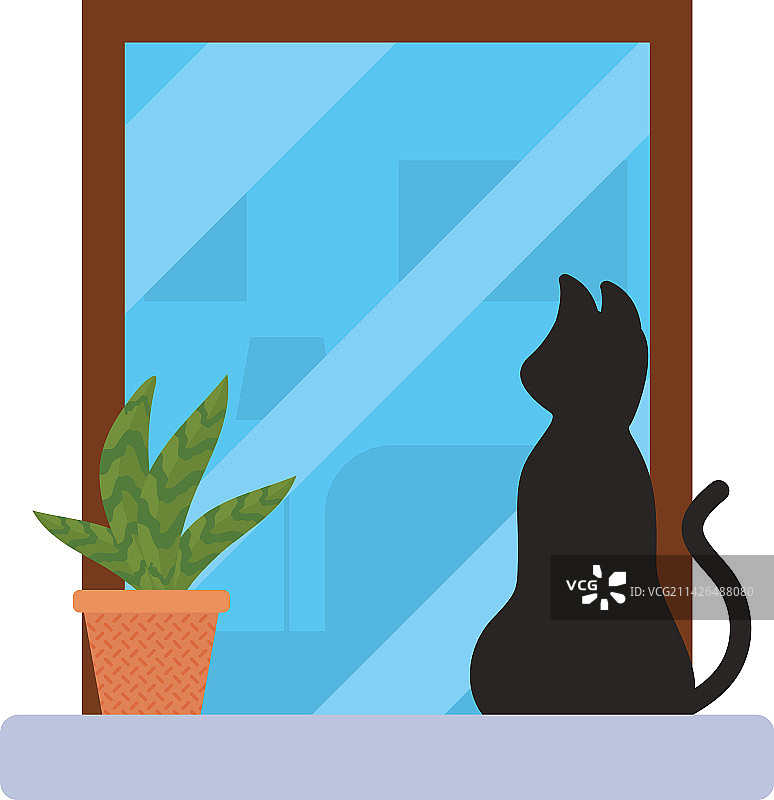 窗户上的室内植物和猫图片素材