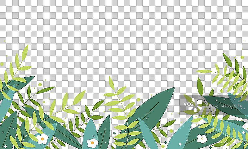 植物插画图片素材