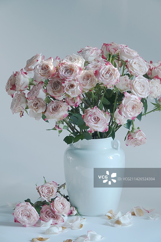 那些花儿图片素材