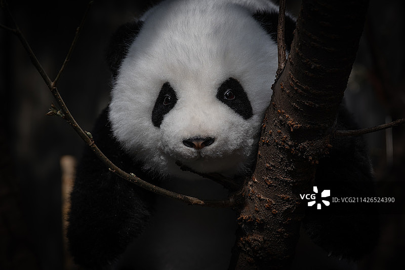 拍花花图片素材