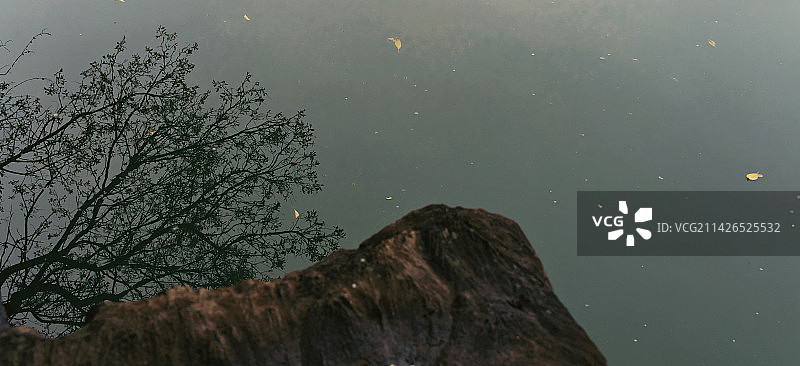 湖中倒影图片素材