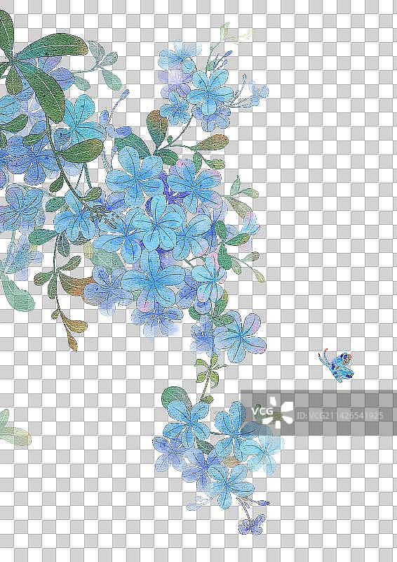 蓝雪花图片素材